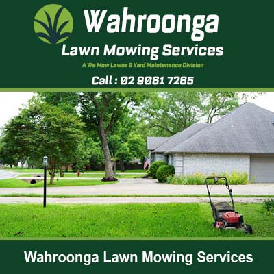Red lawn mower on a maintained grass lawn in Wahroonga