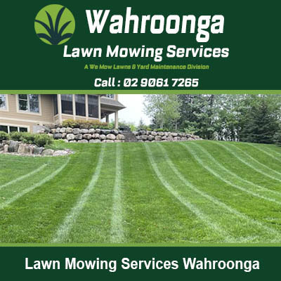 Freshly mowed lawn with neat mowing patterns in Wahroonga